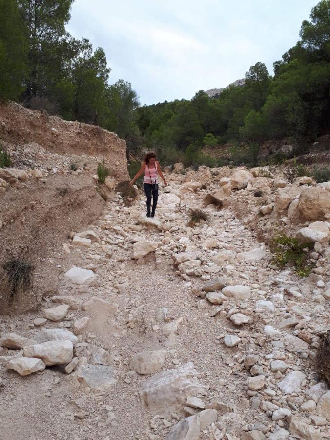 Cortijo Blanco Διαμέρισμα Vélez Blanco Εξωτερικό φωτογραφία