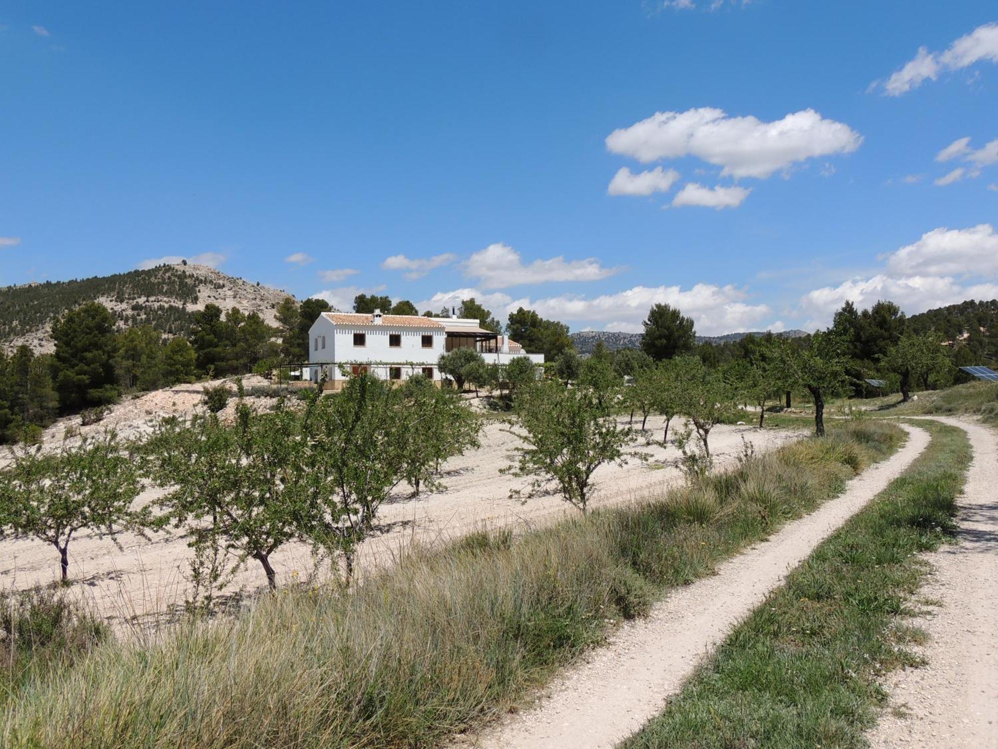Cortijo Blanco Διαμέρισμα Vélez Blanco Εξωτερικό φωτογραφία