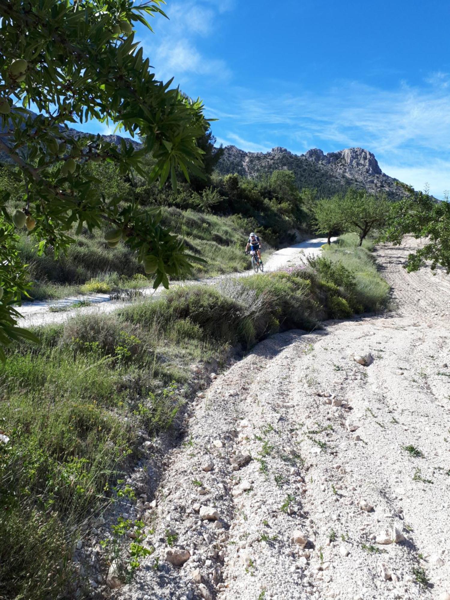 Cortijo Blanco Διαμέρισμα Vélez Blanco Εξωτερικό φωτογραφία